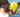 How to Choose the Best Pickleball Balls: A Guide